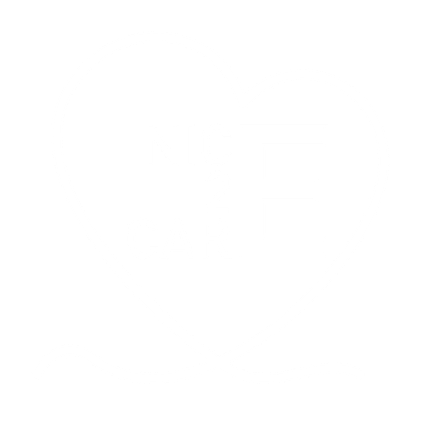 Logo Fondation Nice2Care