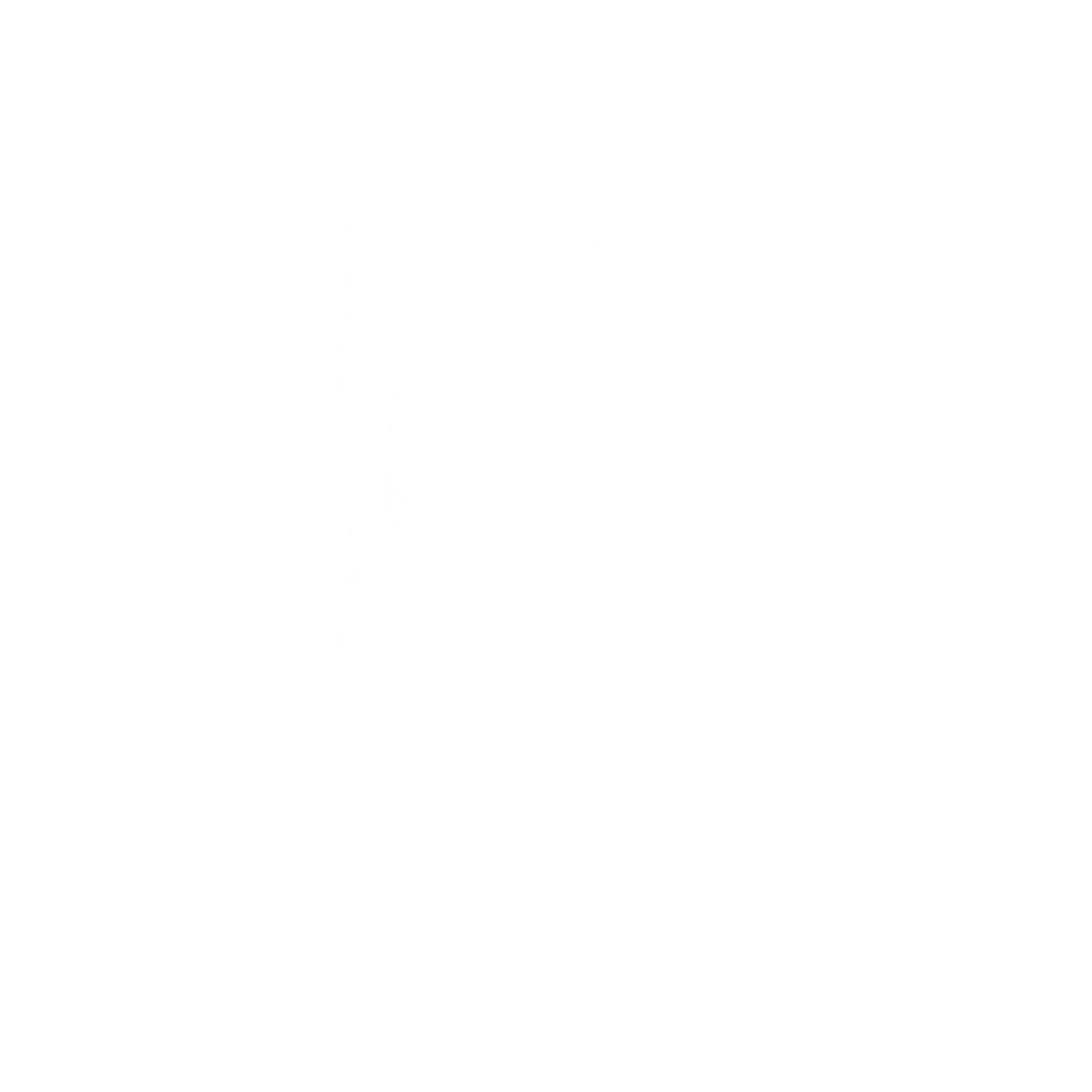 A white logo for a real estate brokerage company on a white background.