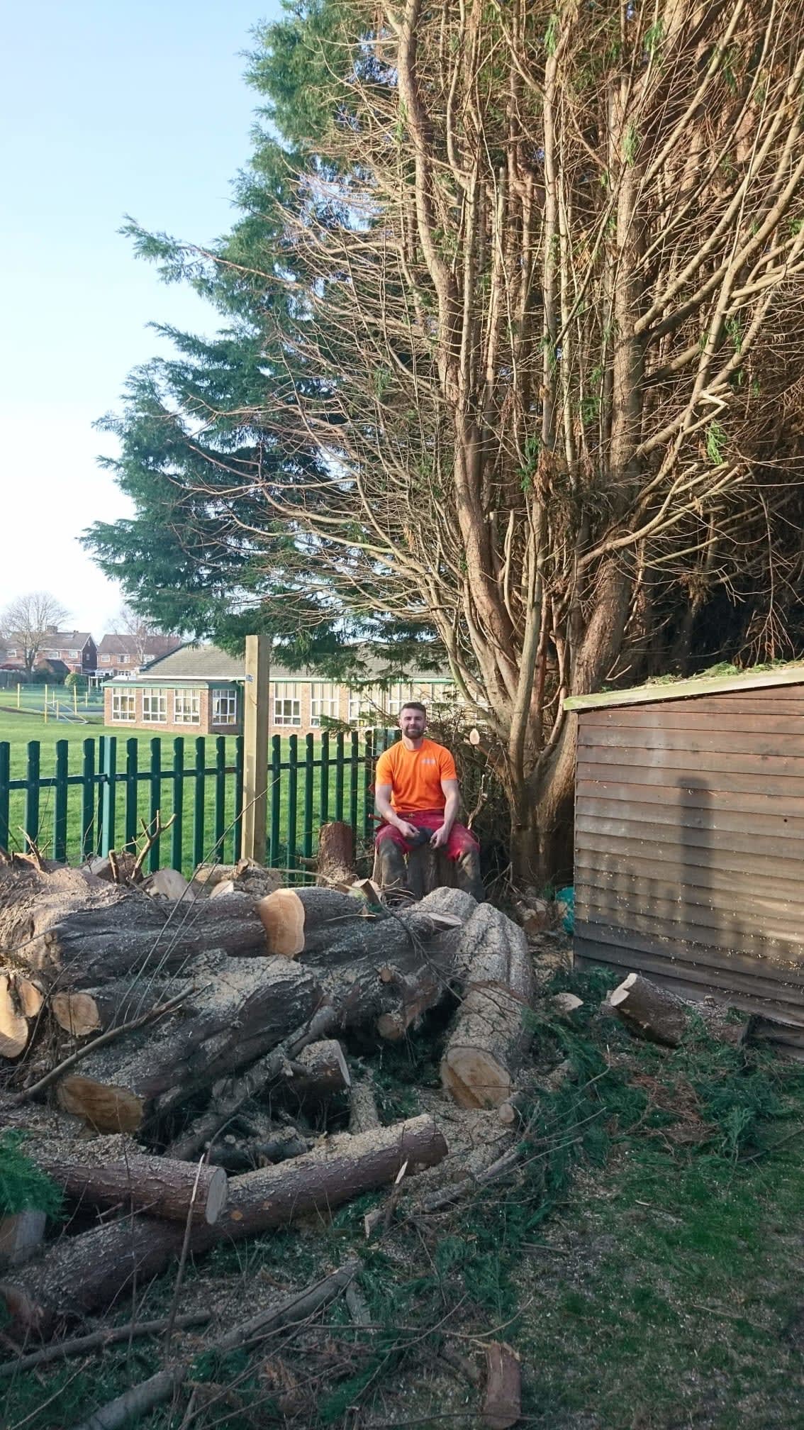 man sat in front of tree and logs