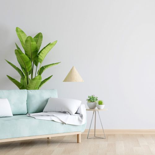 A living room with a couch , table , and potted plant.