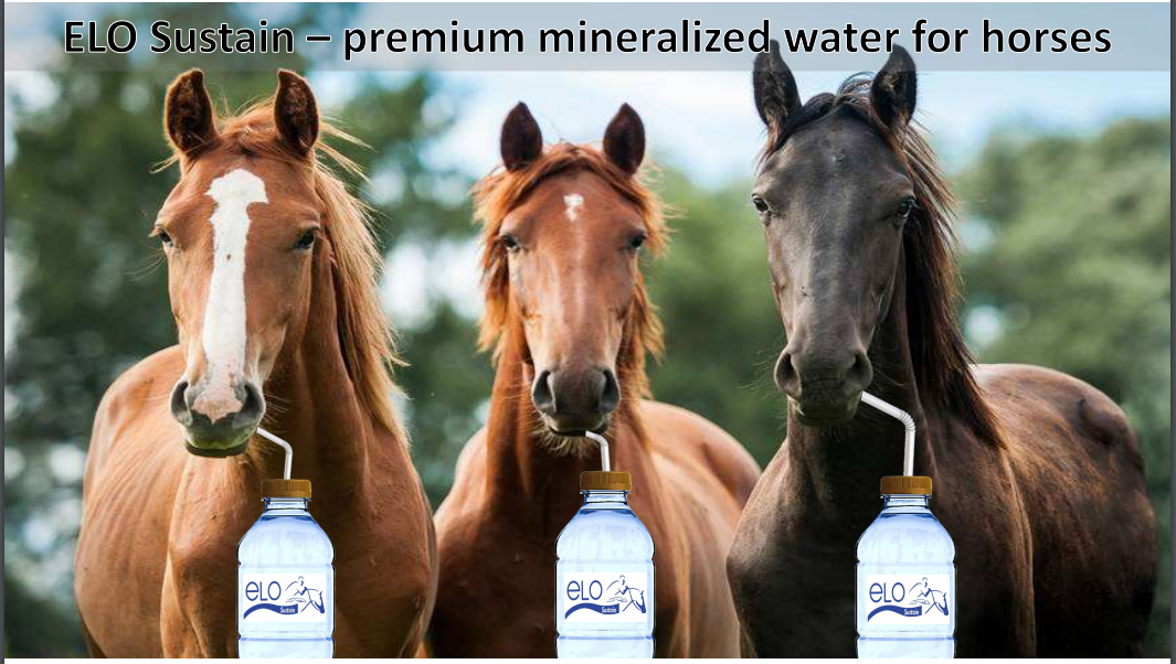 ELO Sustain - Premium Water for Horses