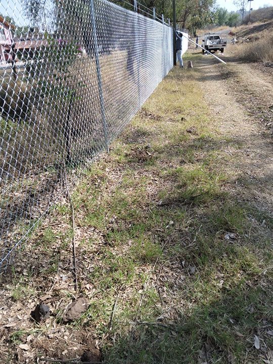 ALAMBRADOS RODRÍGUEZ