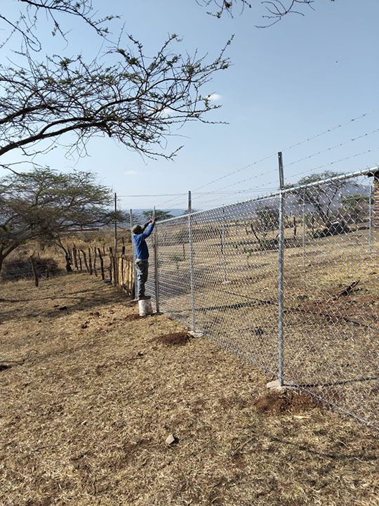 ALAMBRADOS RODRÍGUEZ