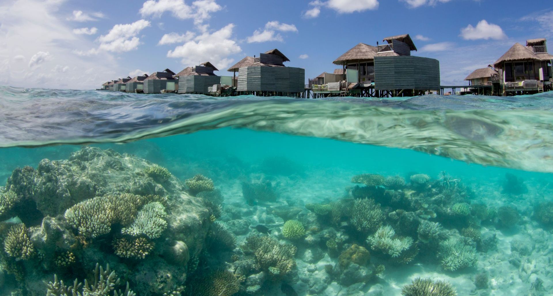 Six Senses Laamu - Coral Reef and water villas - AARU Collective