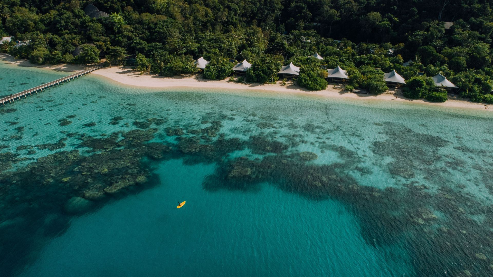 An aerial view of a beach surrounded by trees and a body of water.