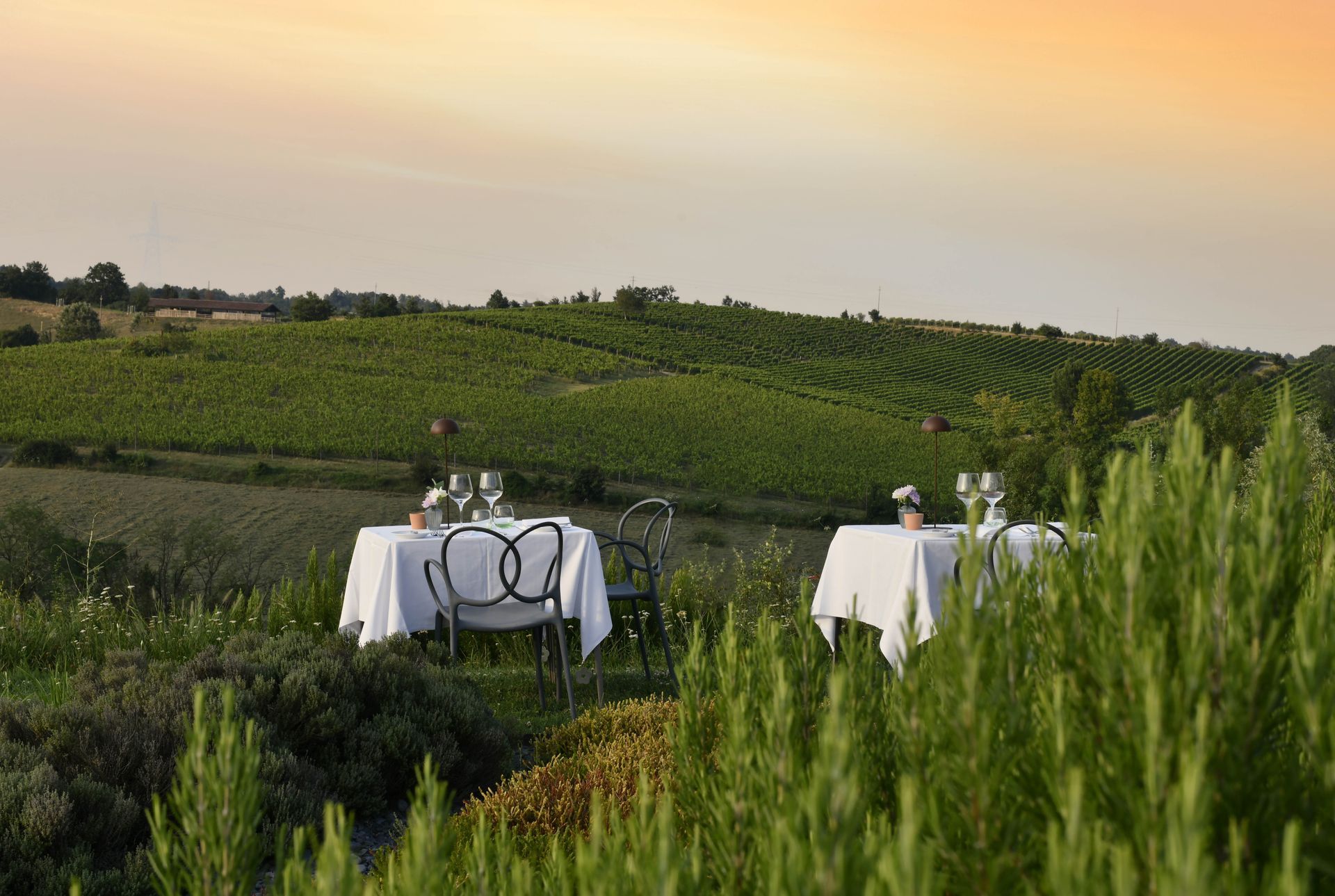 Outdoor dinner tables set in a green, Italian vineyard at sunset