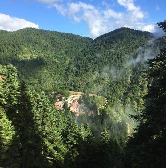 Lush, green mountains and forest, with wisps of fog, under a blue sky.