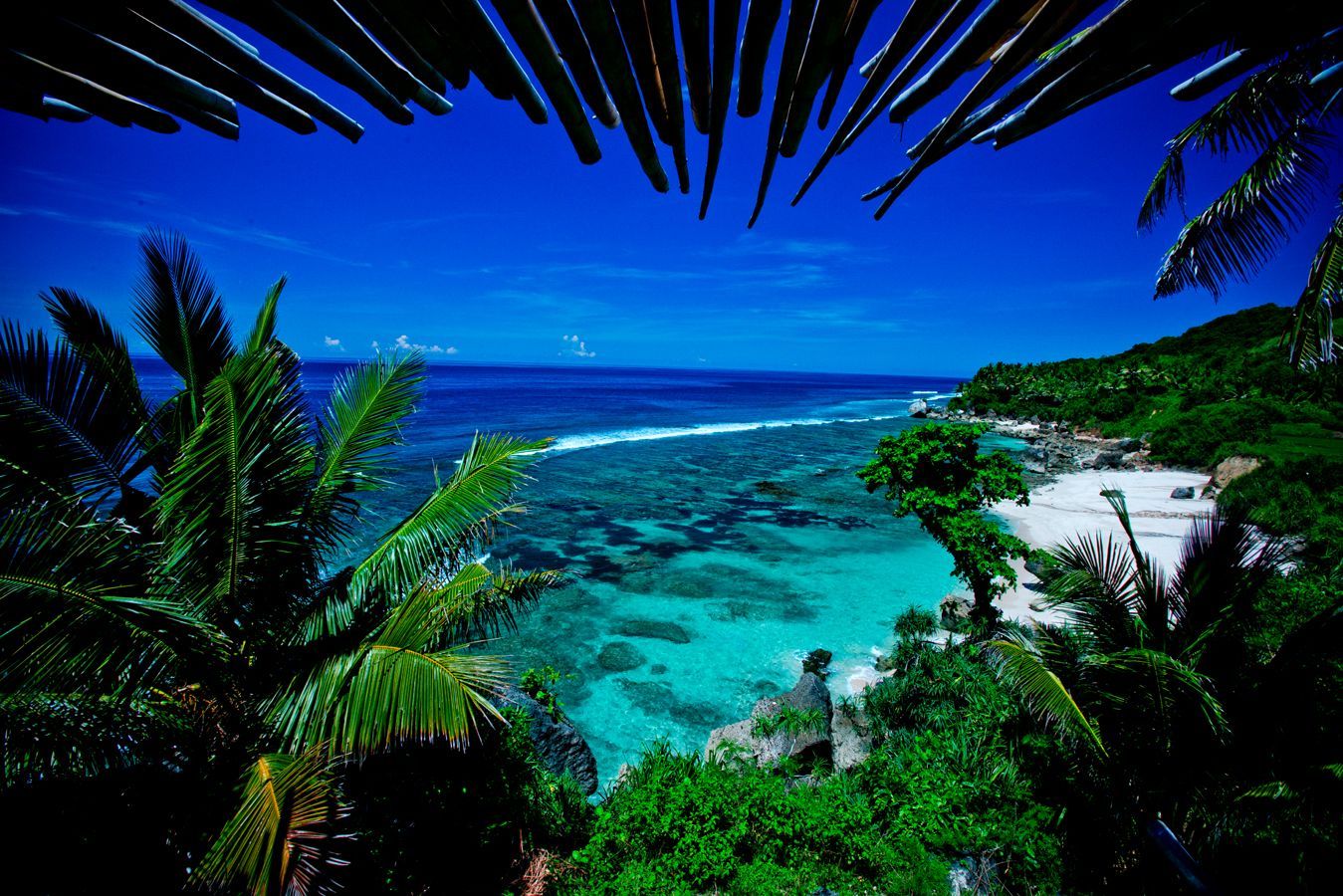 Tropical beach scene with clear turquoise water, white sand, and lush green vegetation under a bright blue sky.