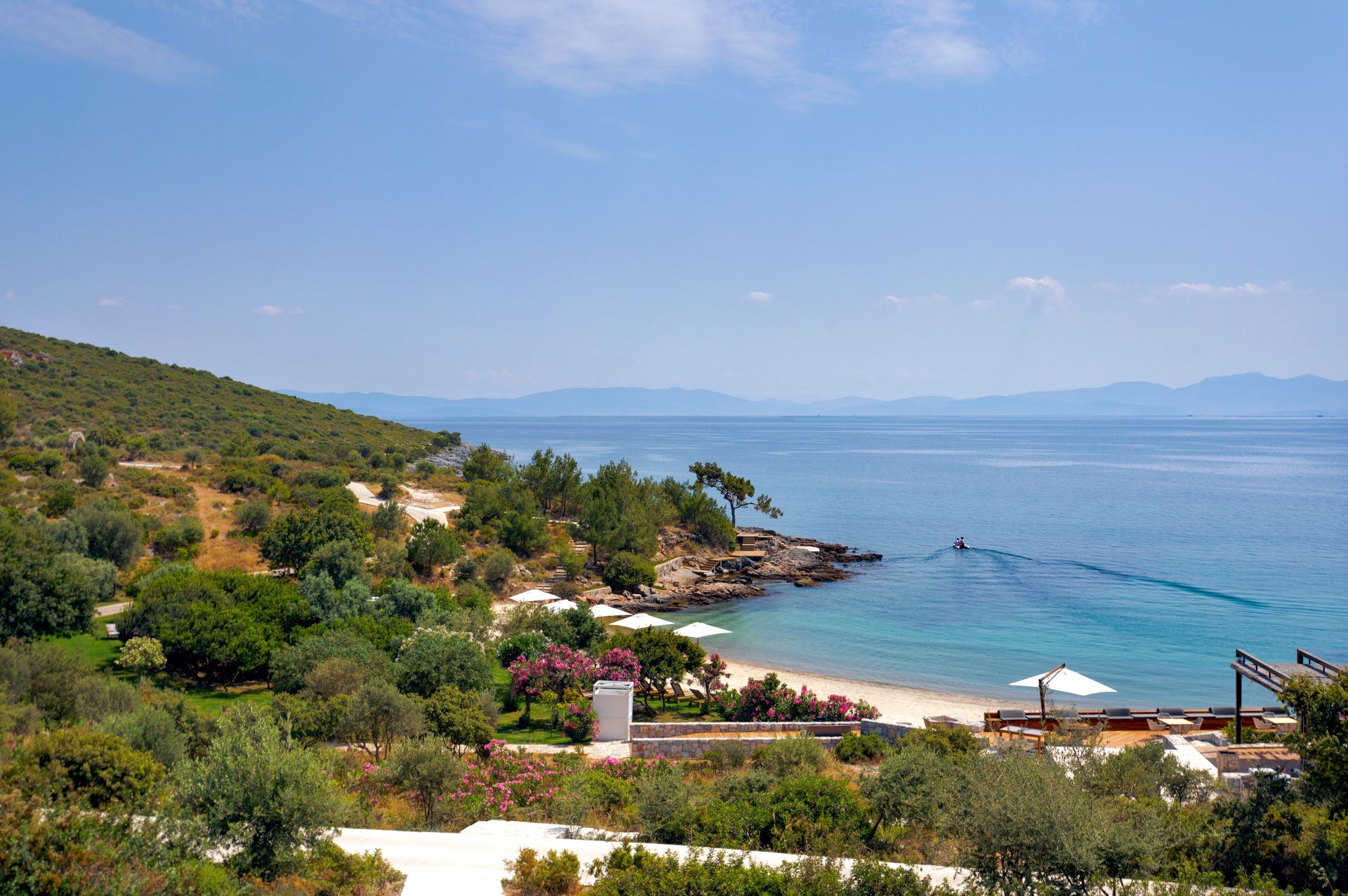 A beach with a lot of trees and umbrellas next to the ocean.