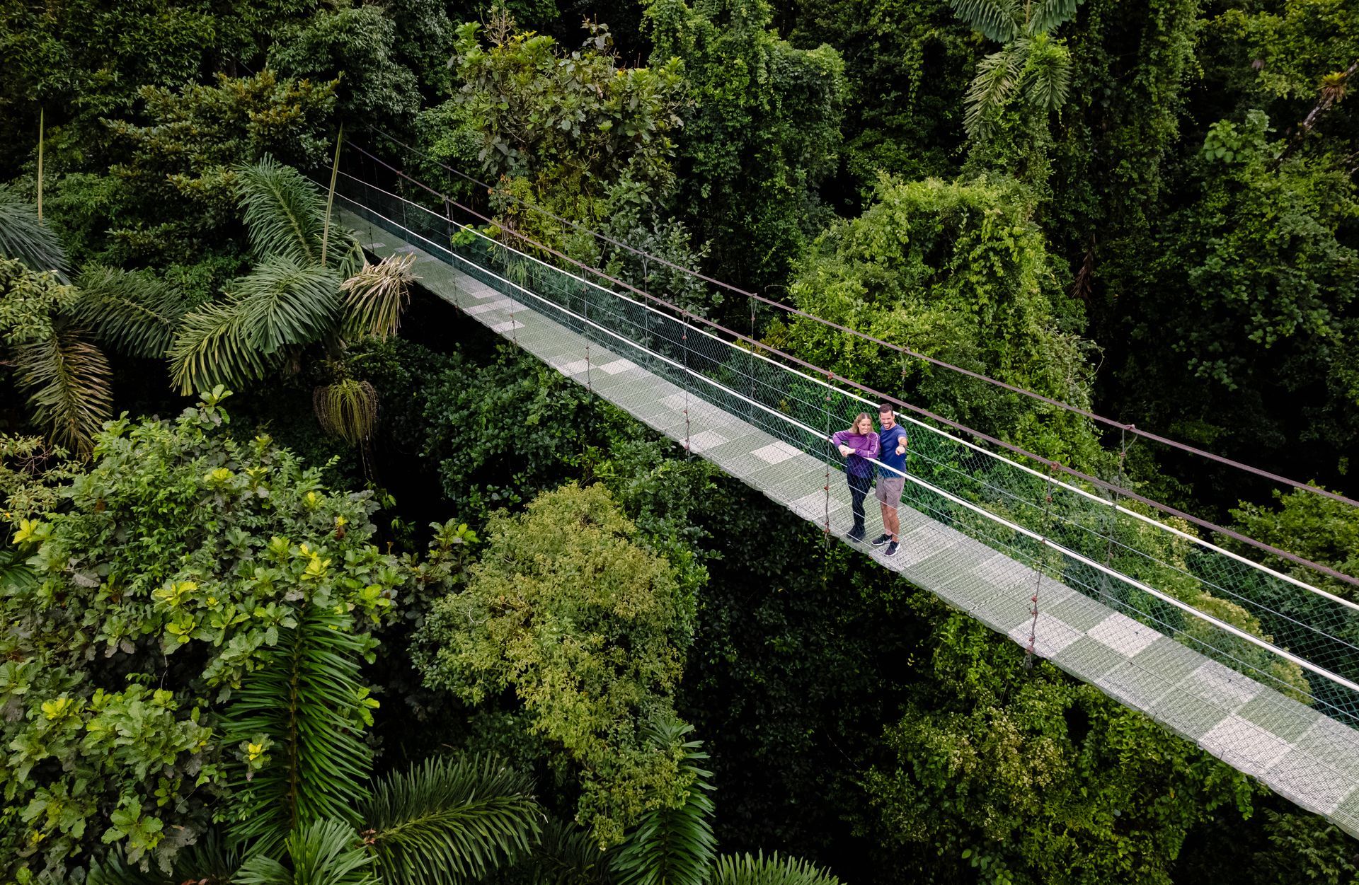 A couple is walking across a suspension bridge in the jungle.