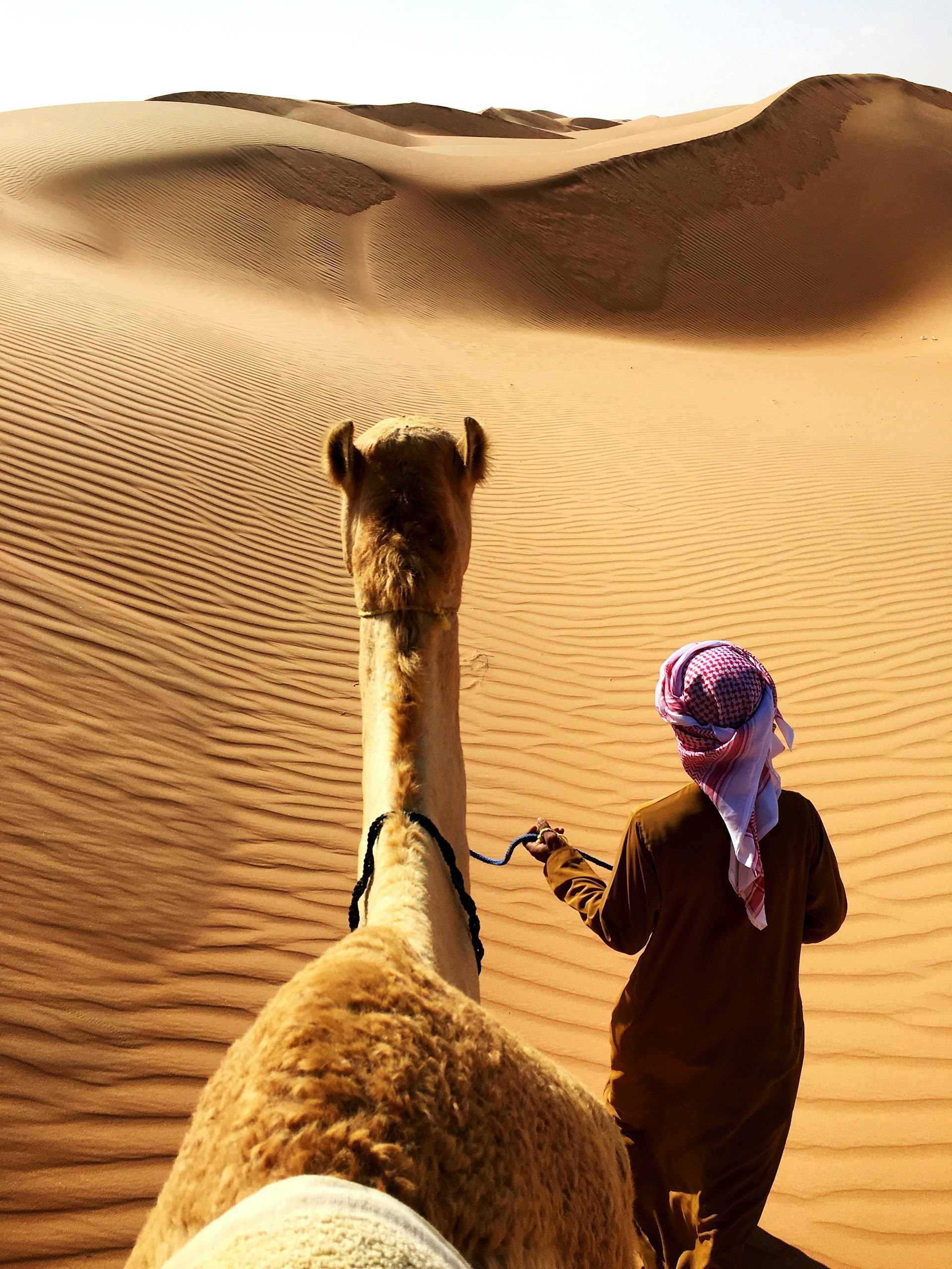 A man is leading a camel through the desert