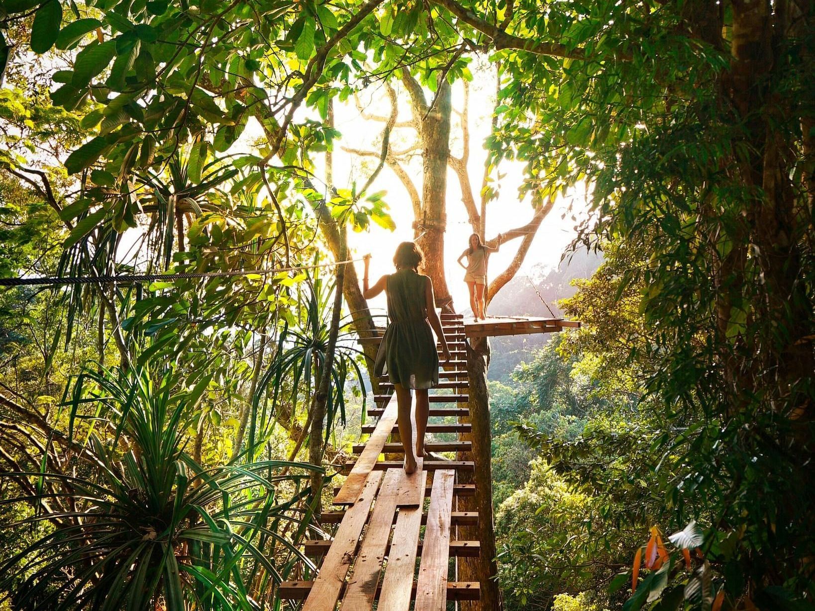 A person is standing on a wooden bridge in the jungle.