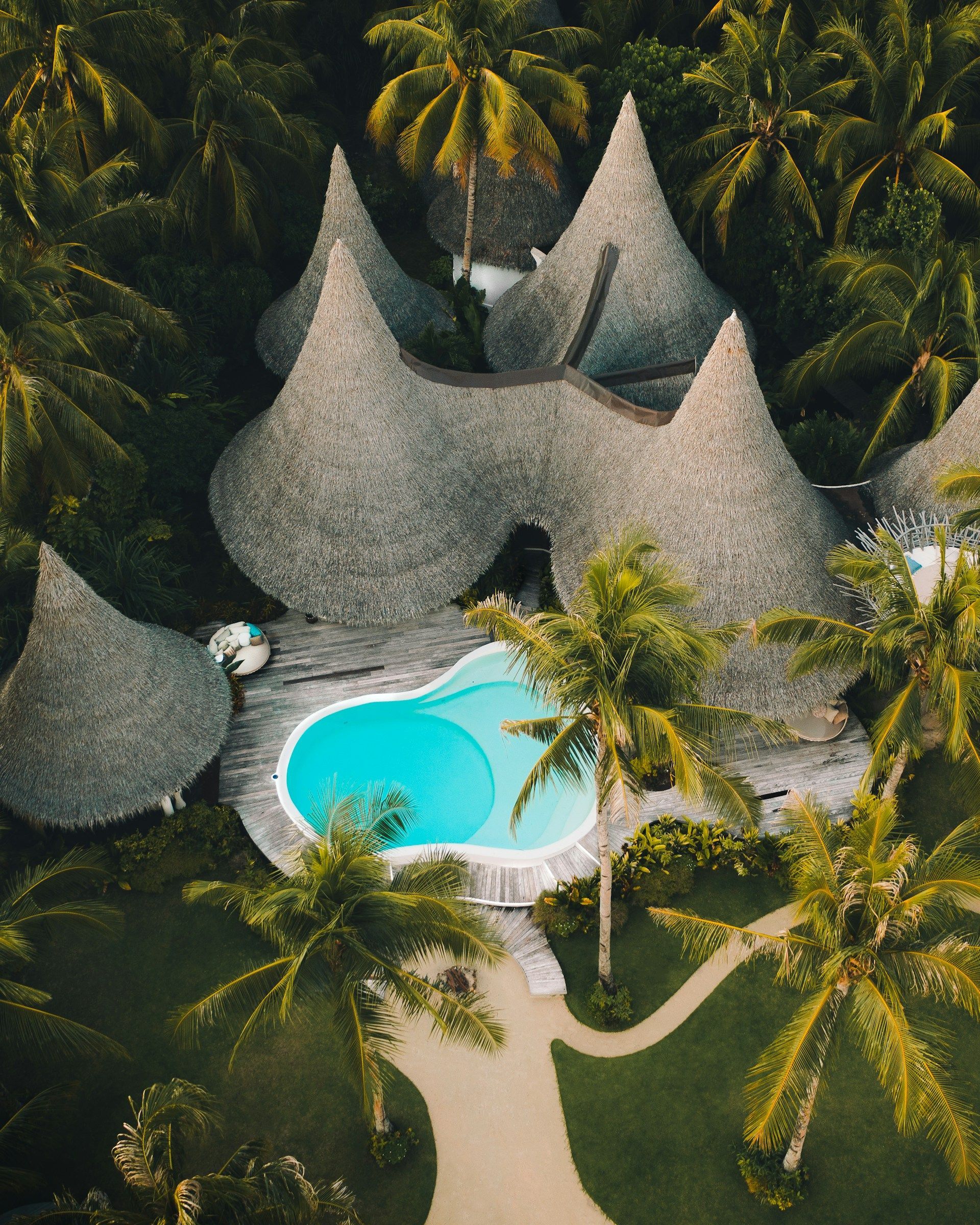 An aerial view of a swimming pool surrounded by palm trees