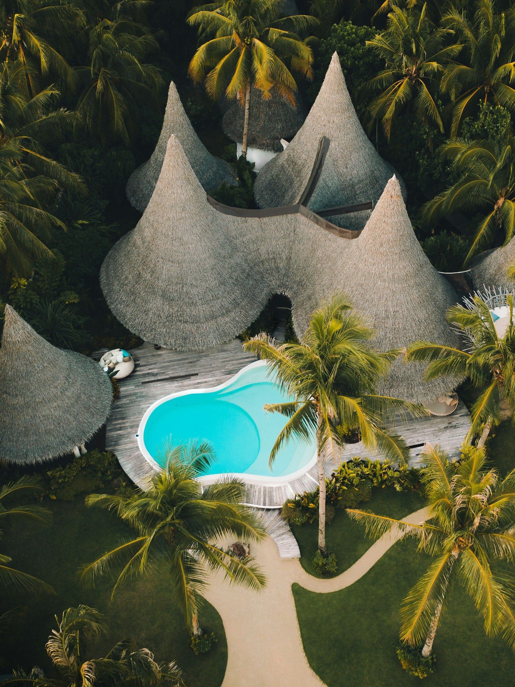 An aerial view of a tropical resort with a swimming pool surrounded by palm trees.