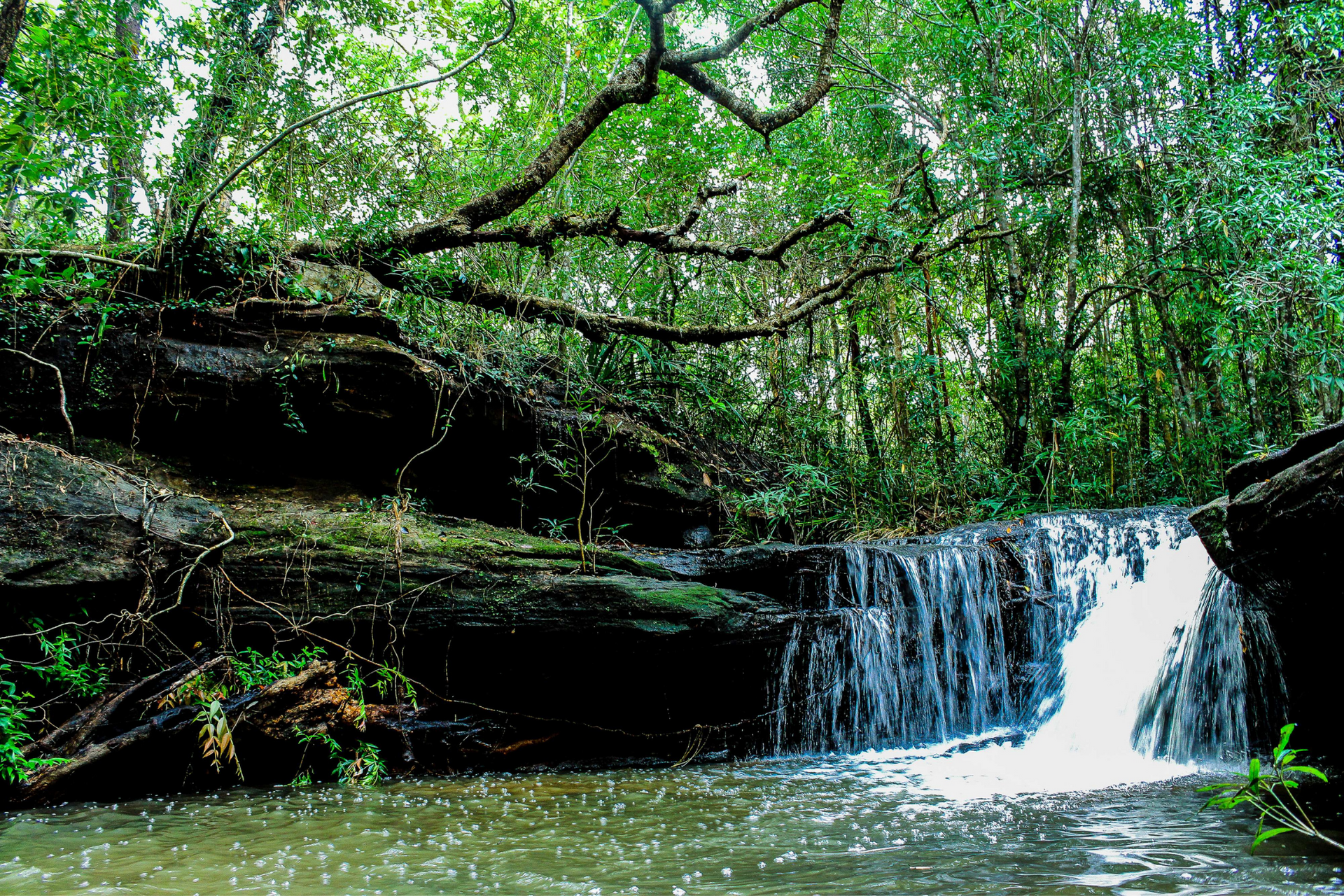 A small waterfall in the middle of a forest