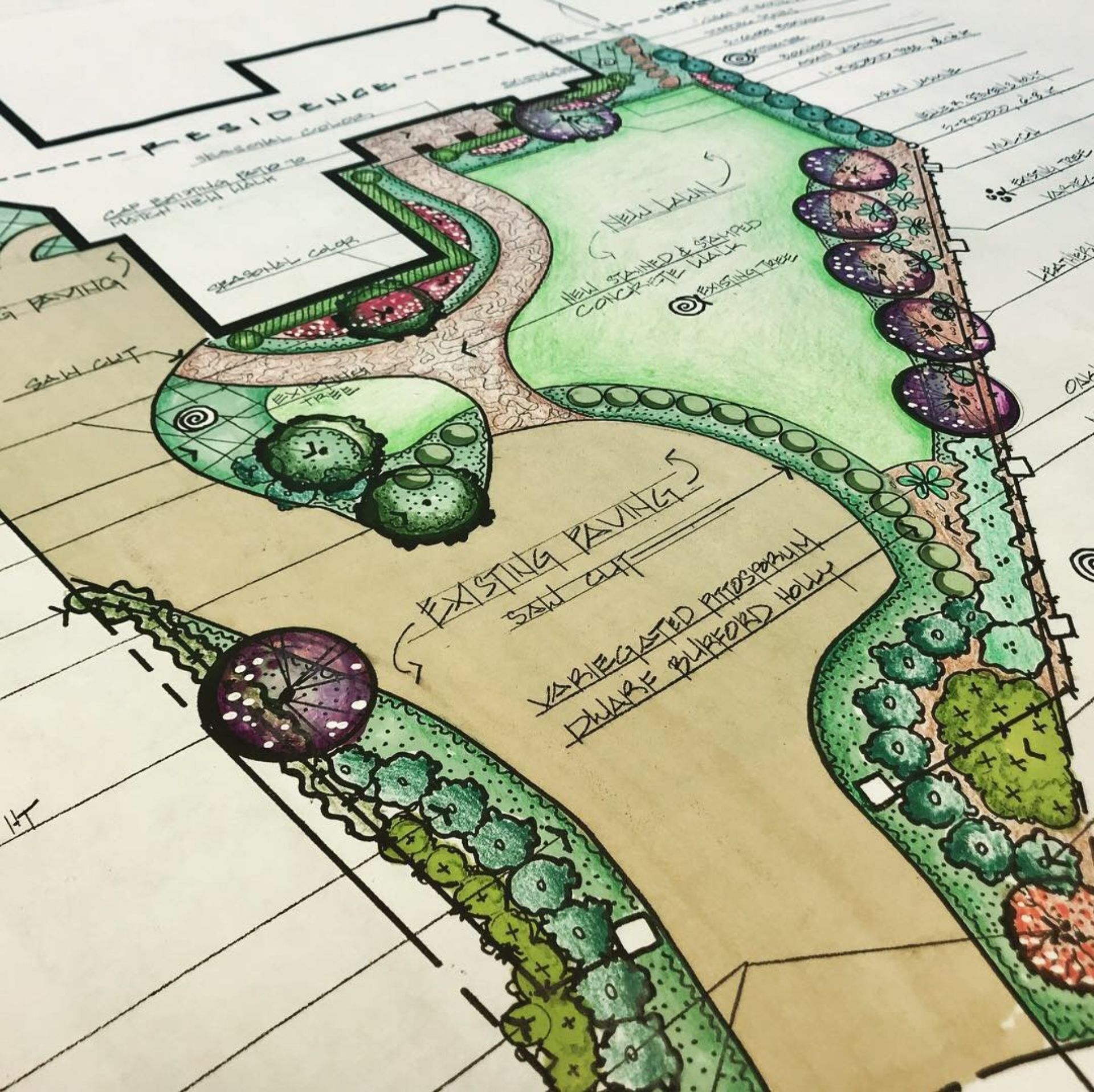 A colored landscape architectural plan with a pathway, trees, and landscaping.