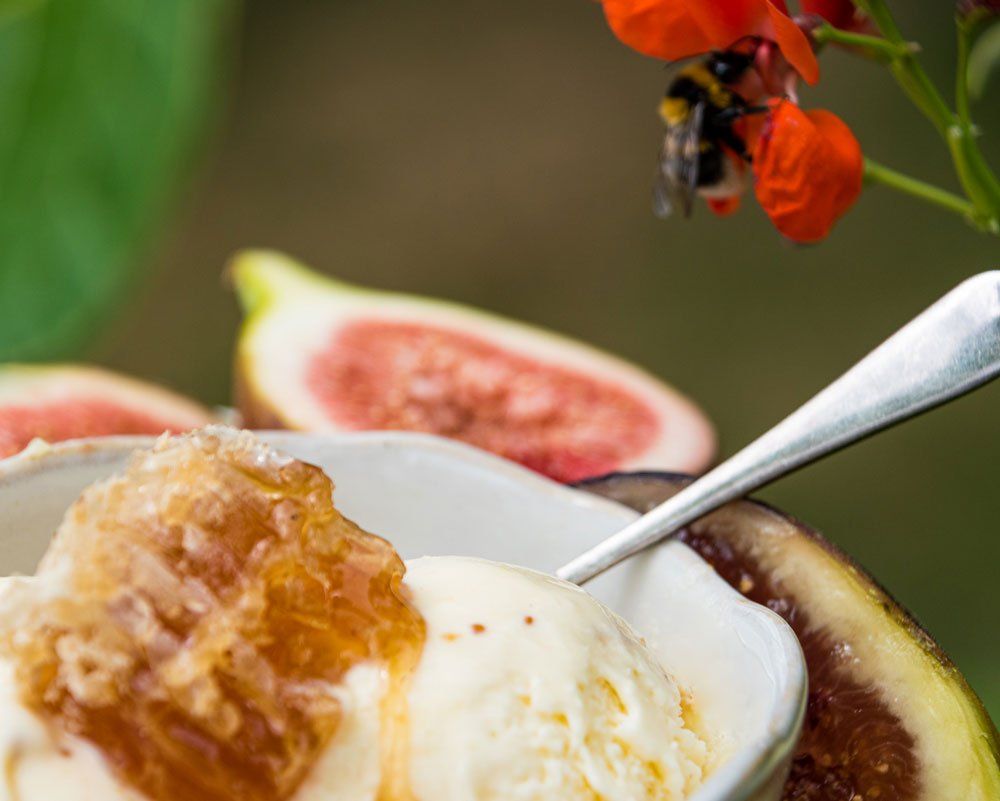 Pure New Zealand Ice Cream Wanaka, Fig & Honey Ice Cream