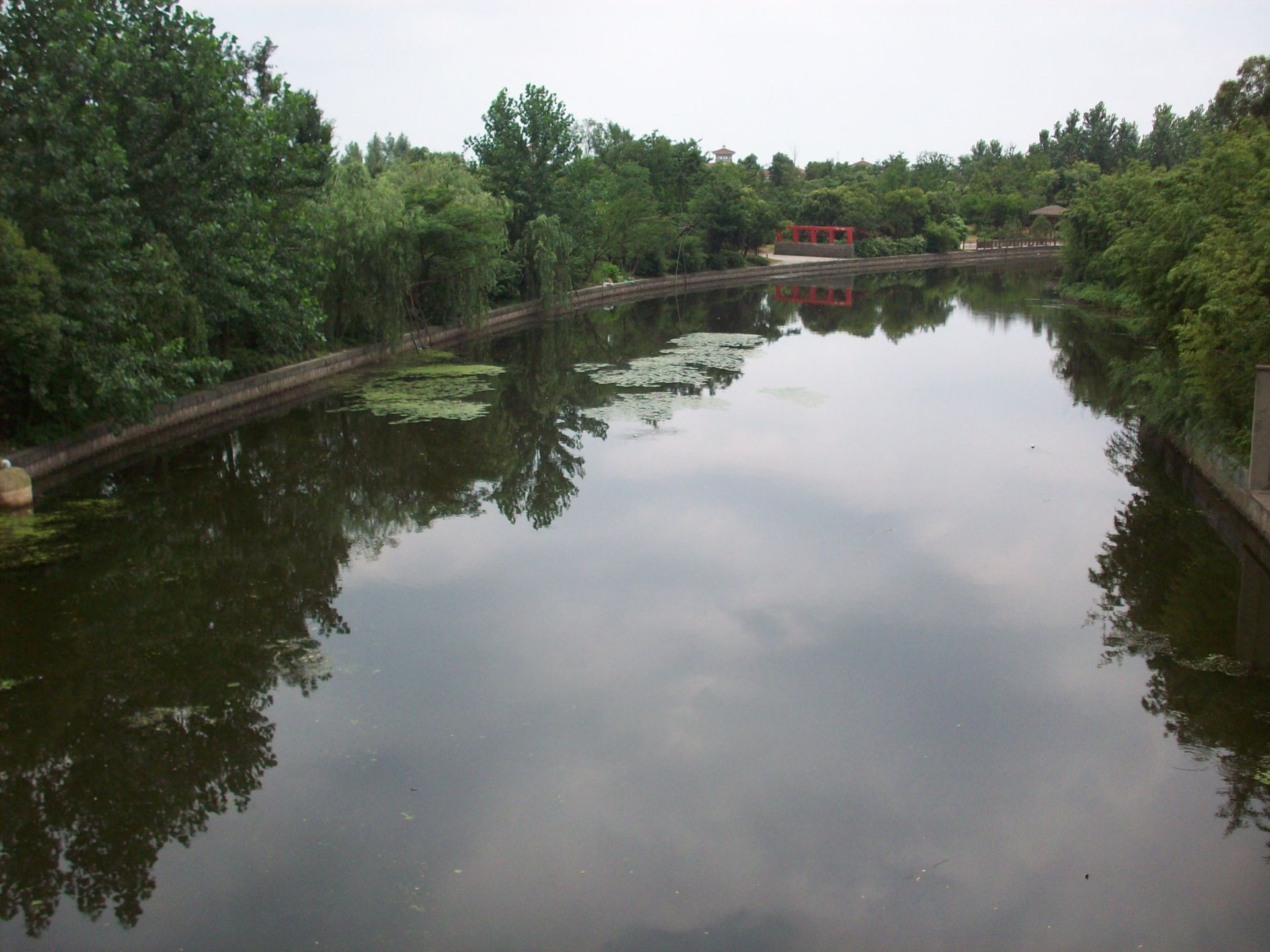 A large body of water surrounded by trees and bushes