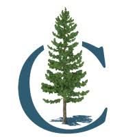 A pine tree is surrounded by a blue arrow.