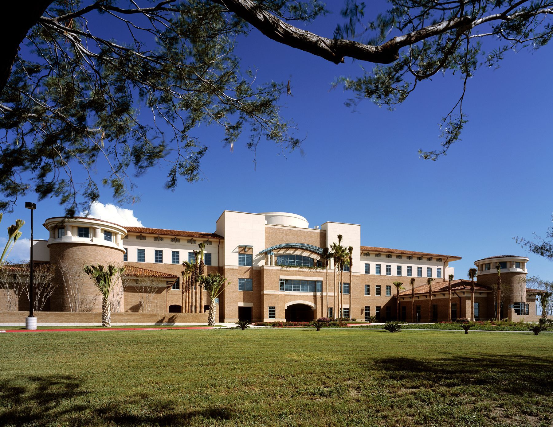 A large building with palm trees in front of it