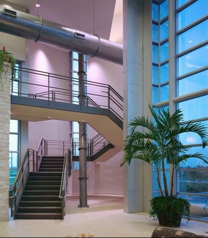 A large building with stairs and a palm tree