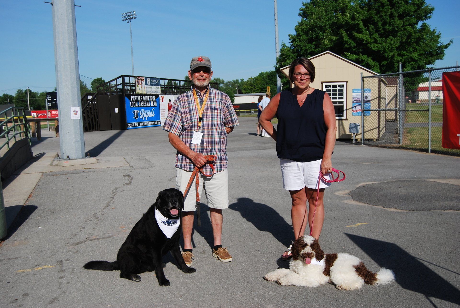 A man and a woman standing next to two dogs in a parking lot
