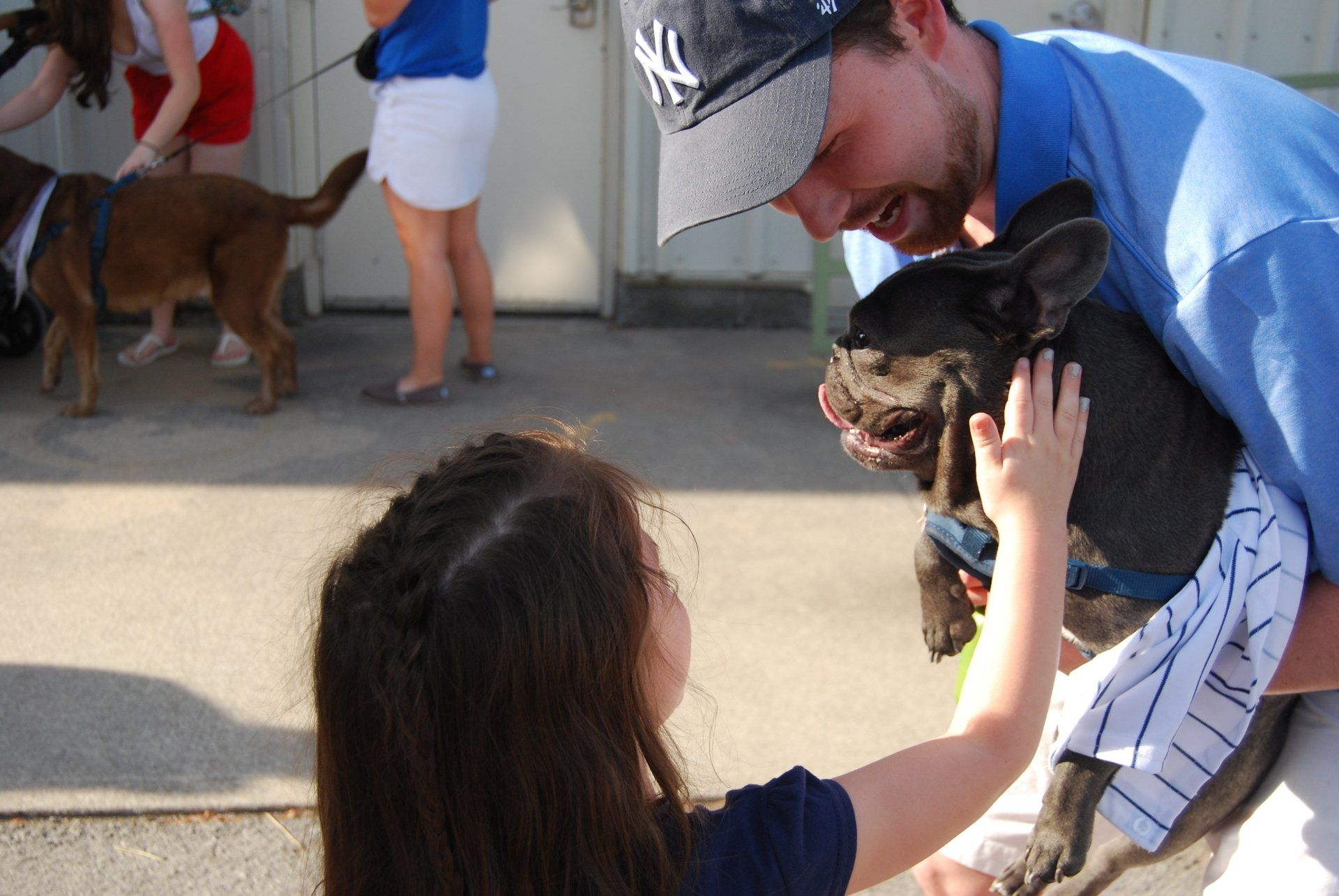 A man wearing a ny hat is petting a dog
