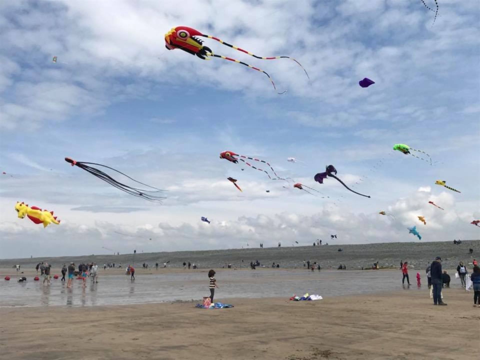 Flying sport kites on Northam Burrows in Westward Ho!