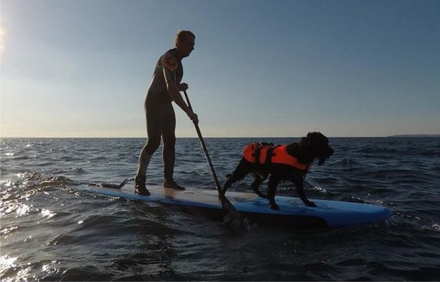 westward ho paddle boarding