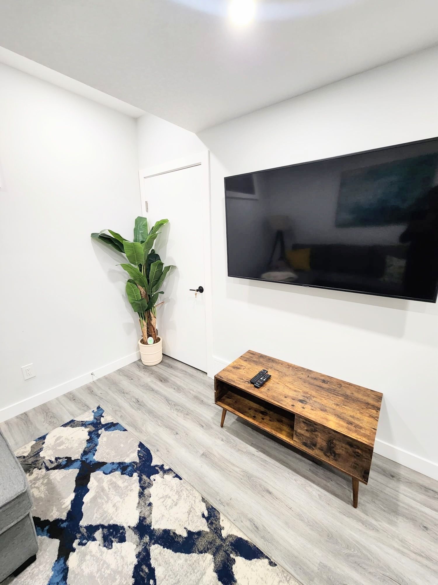 This image shows a TV , TV stand and a flower pot in a living area within a basement development in Calgary Alberta