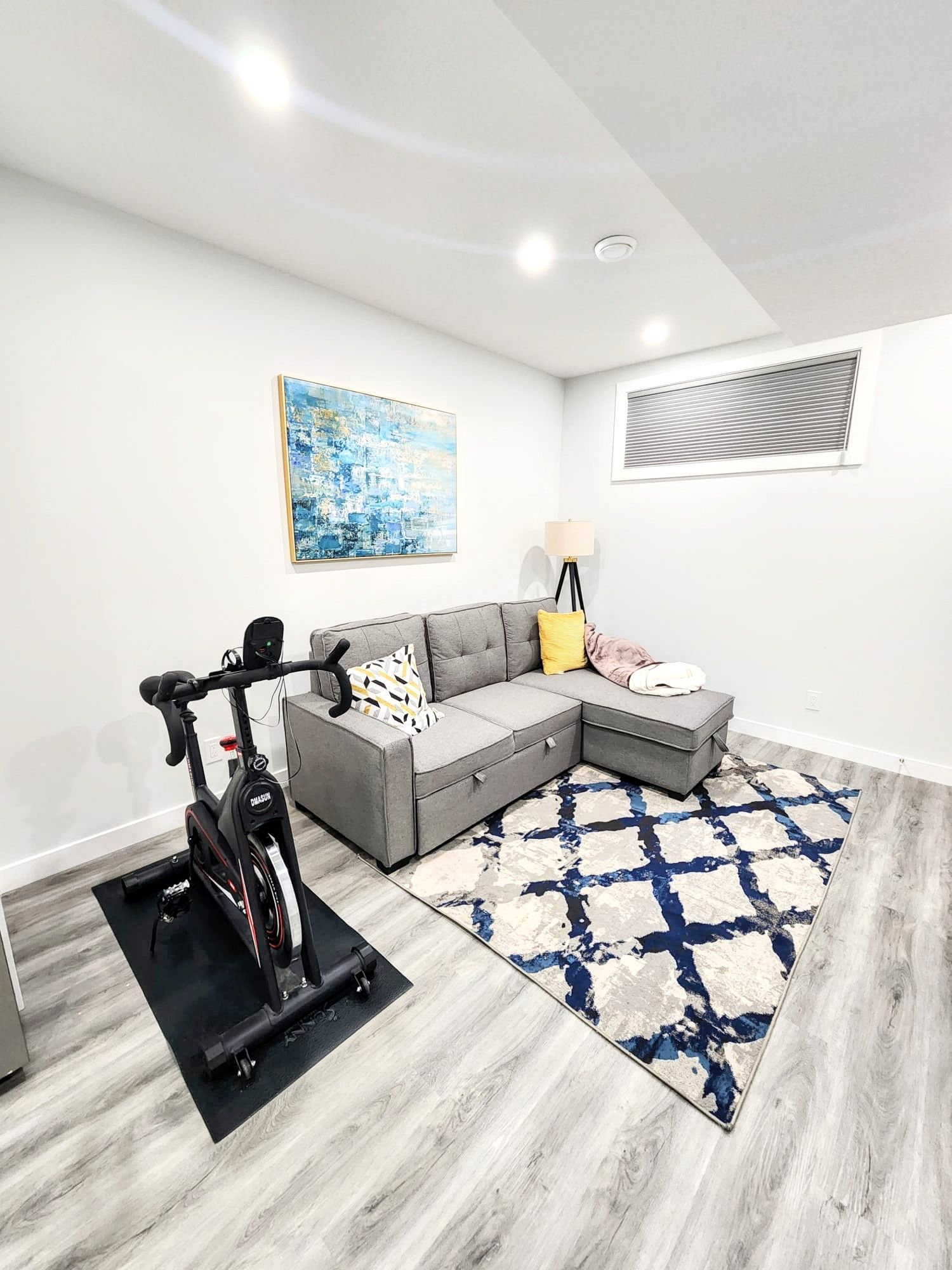 Image of a sectional couch, a bicycle, and wall painting in a living space within a basement renovation in Calgary Alberta 