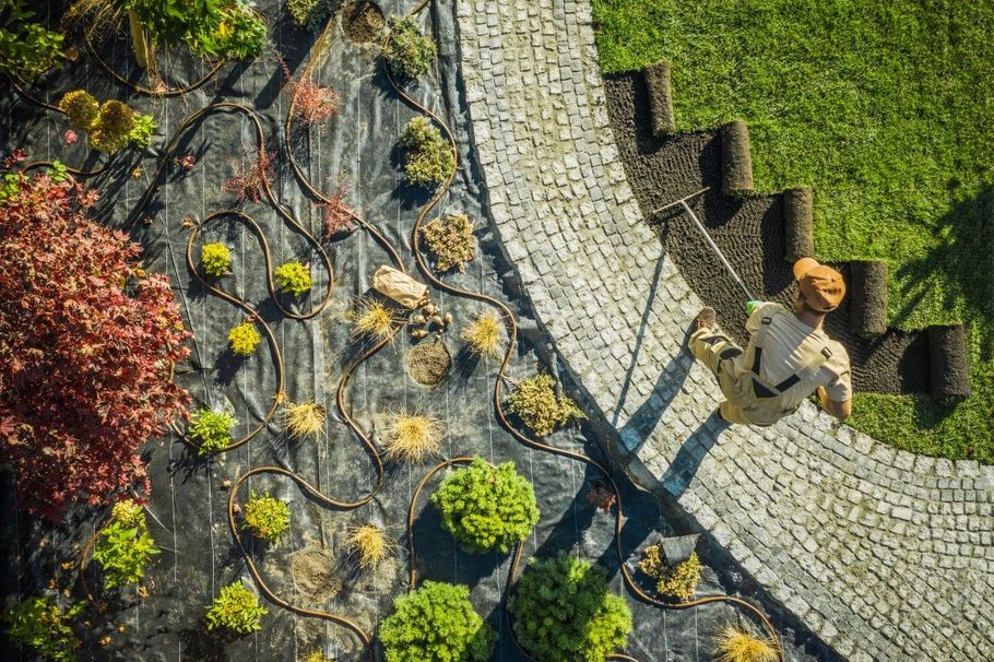 Luxury home exterior featuring professional lawn care and trees.