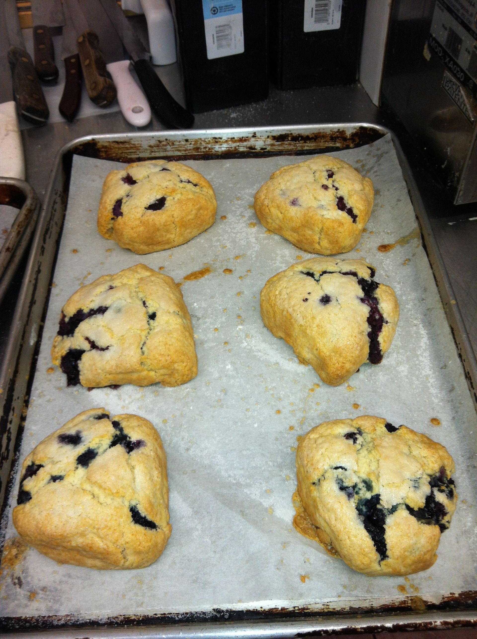 a tray of blueberry scones on wax paper