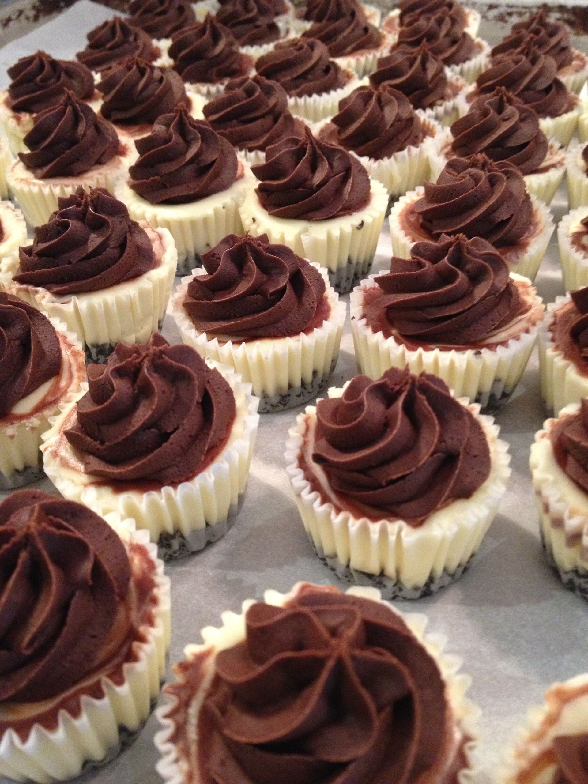 a bunch of cupcakes with chocolate frosting on them