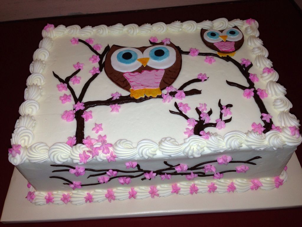 a cake with two owls and pink flowers on it