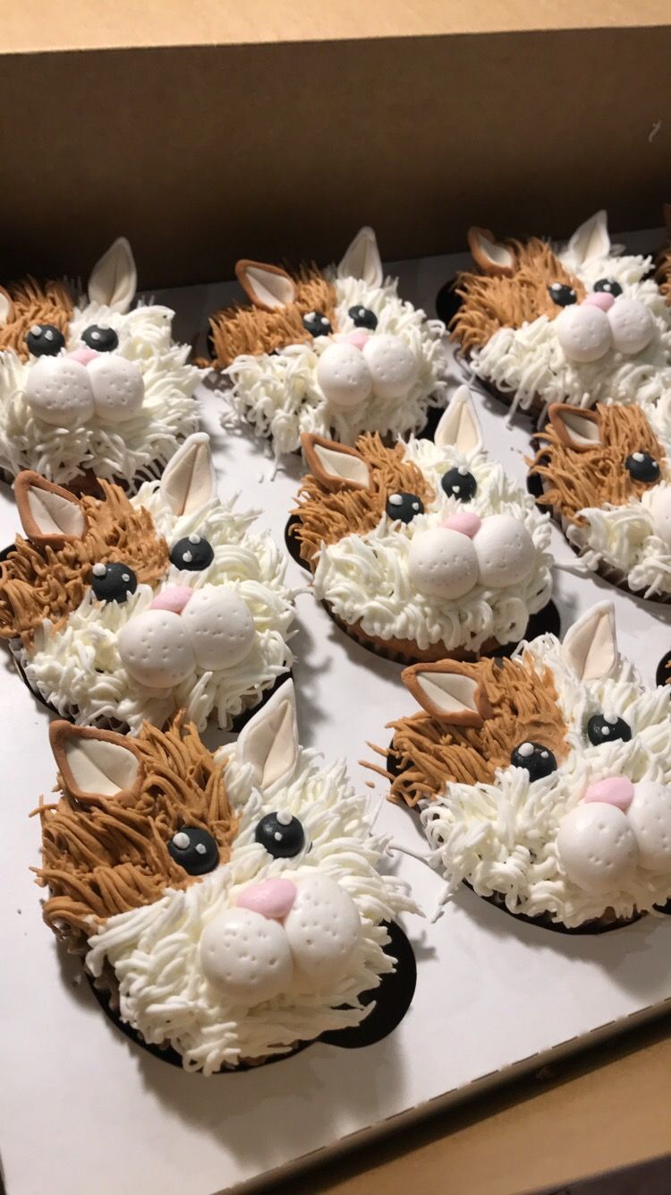 a box of cupcakes decorated to look like cats on a table .