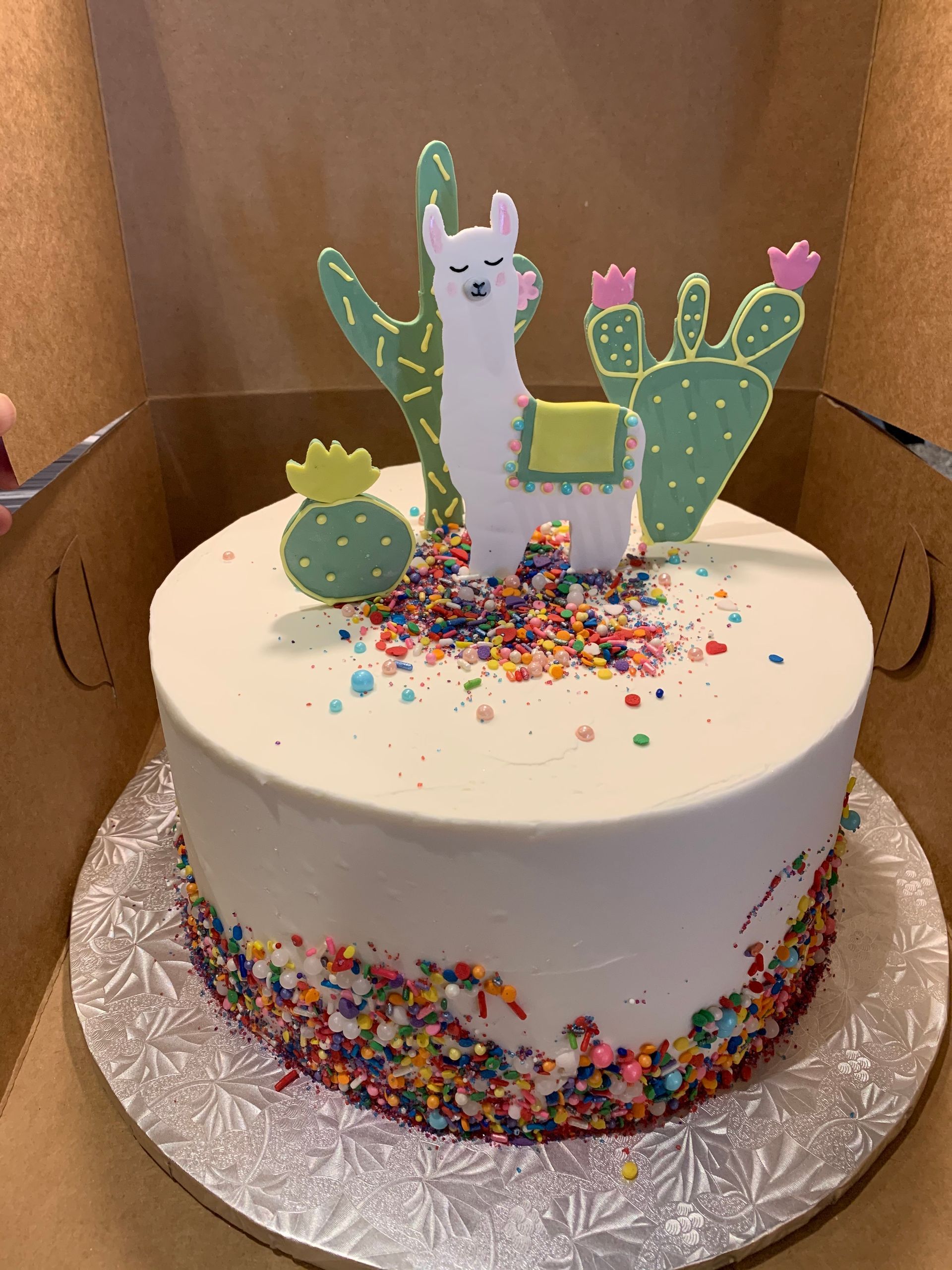 a cake with a llama and cactus on it is in a box .