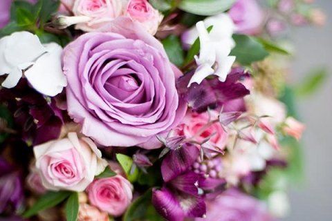 composizione di rose