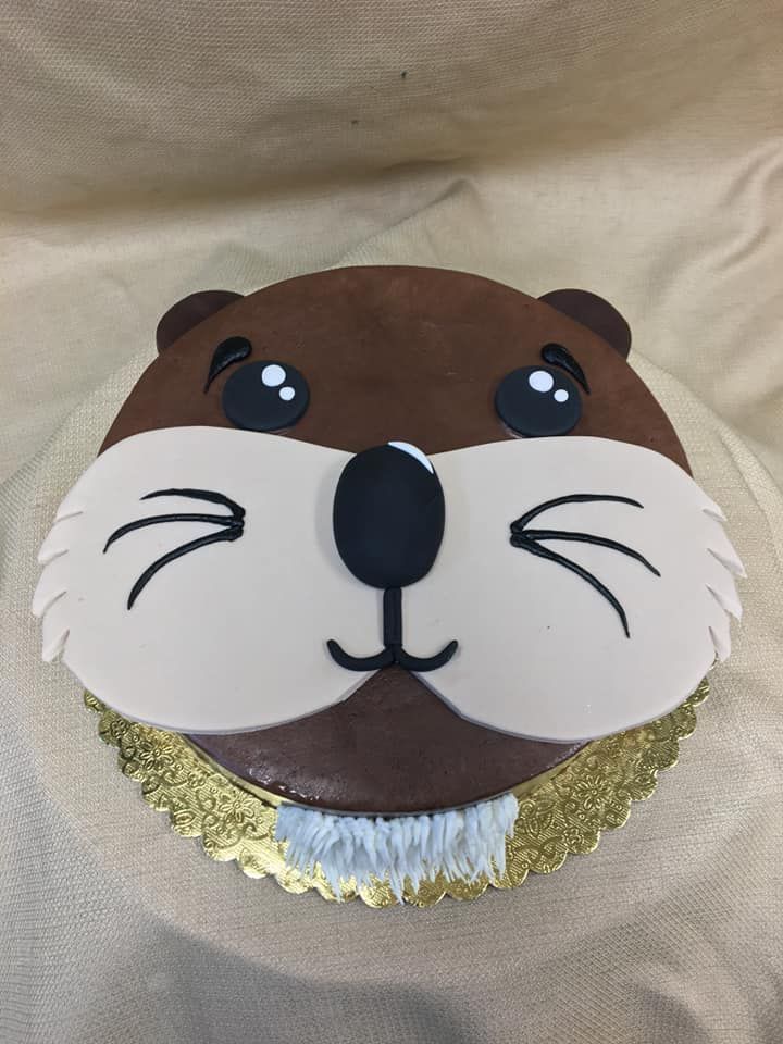 Candy Haven and Cakes Photo Gallery Denton, TX