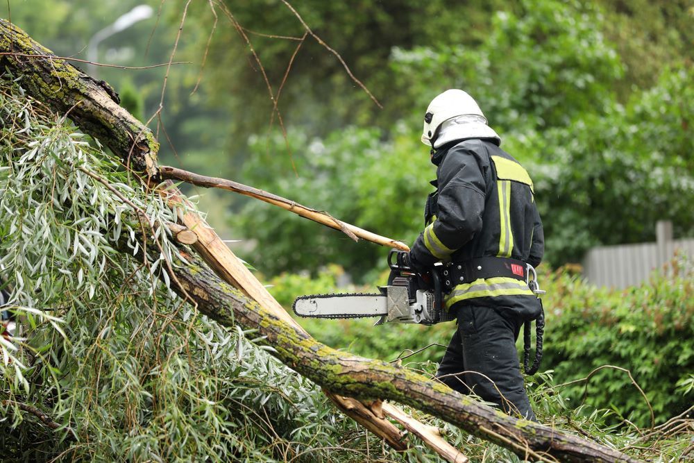 A Fireman Is Cutting A Tree With A Chainsaw — Tropical Tree Solutions in Tablelands, QLD