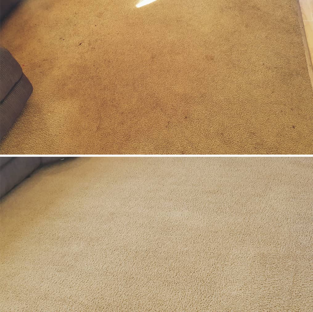 Dirty And Clean Carpet — Carpet Cleaning in Maitland, NSW