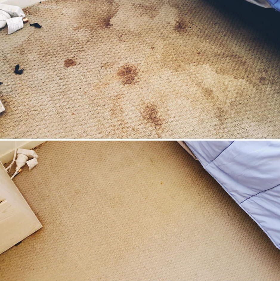 Removed Stain After Cleaning — Carpet Cleaning in Maitland, NSW