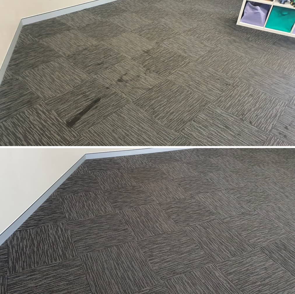 Pattern Carpet — Carpet Cleaning in Maitland, NSW