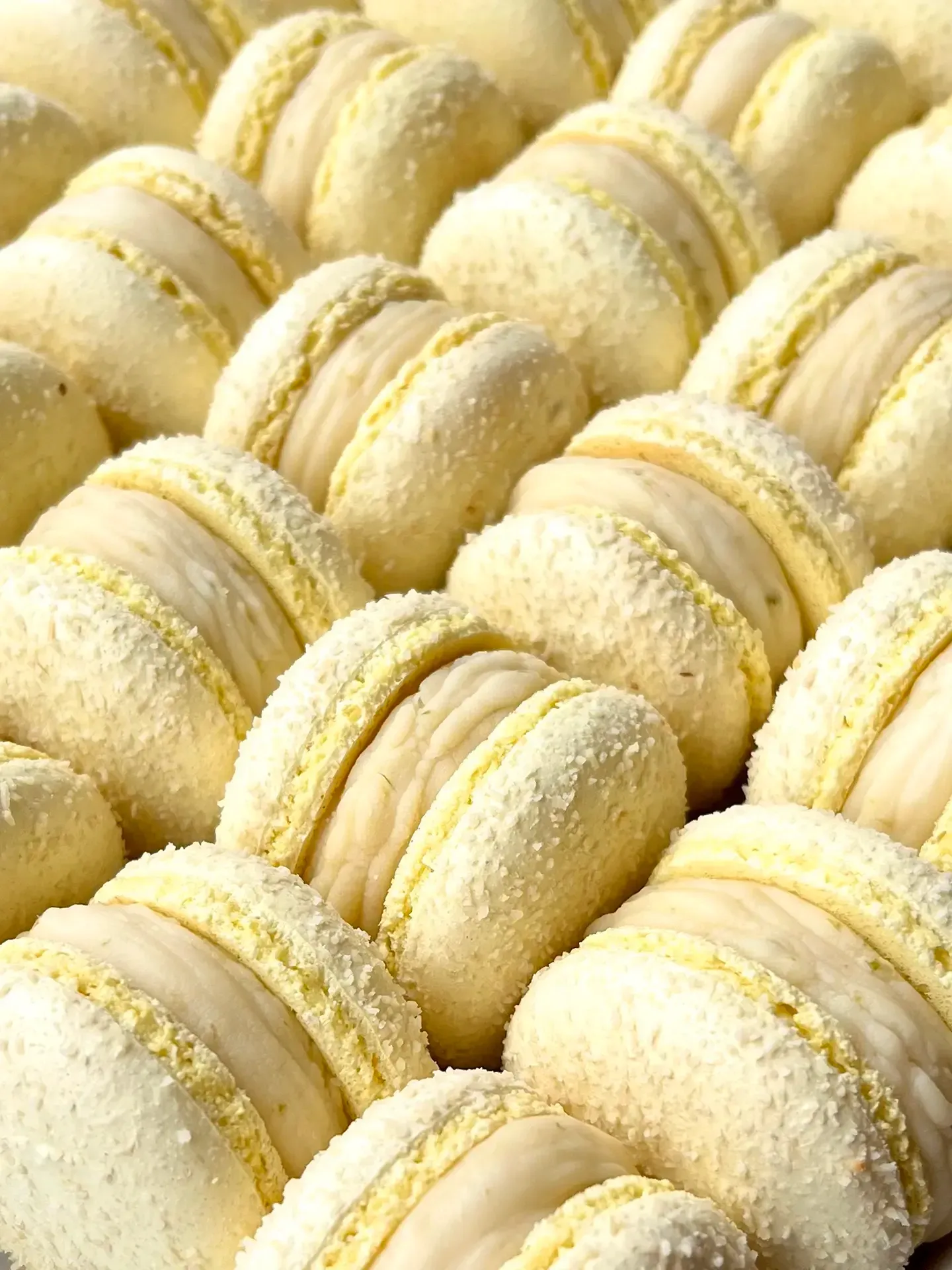 Sausainiai macarons