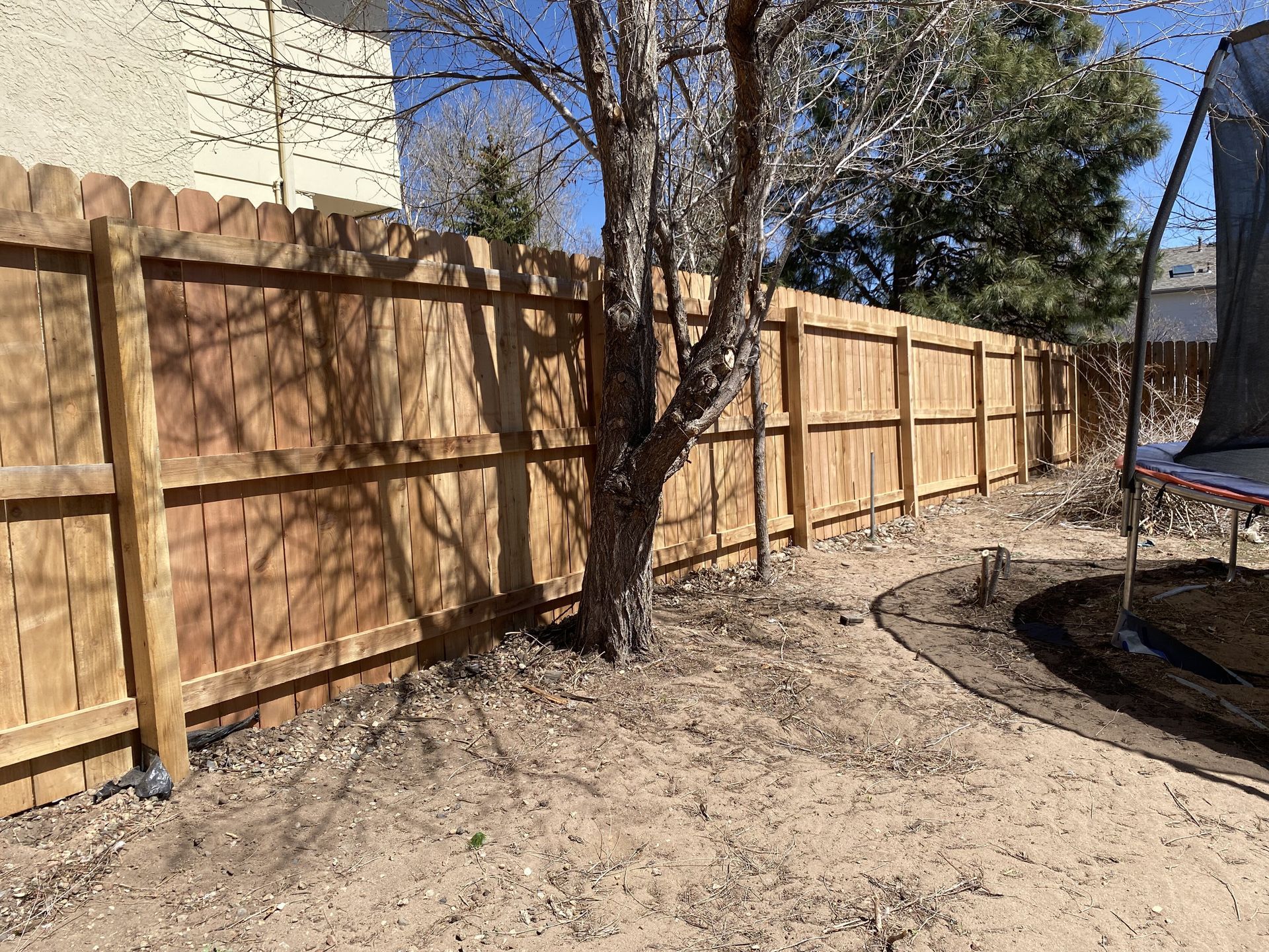 A wooden fence surrounds a backyard with trees and a trampoline.
