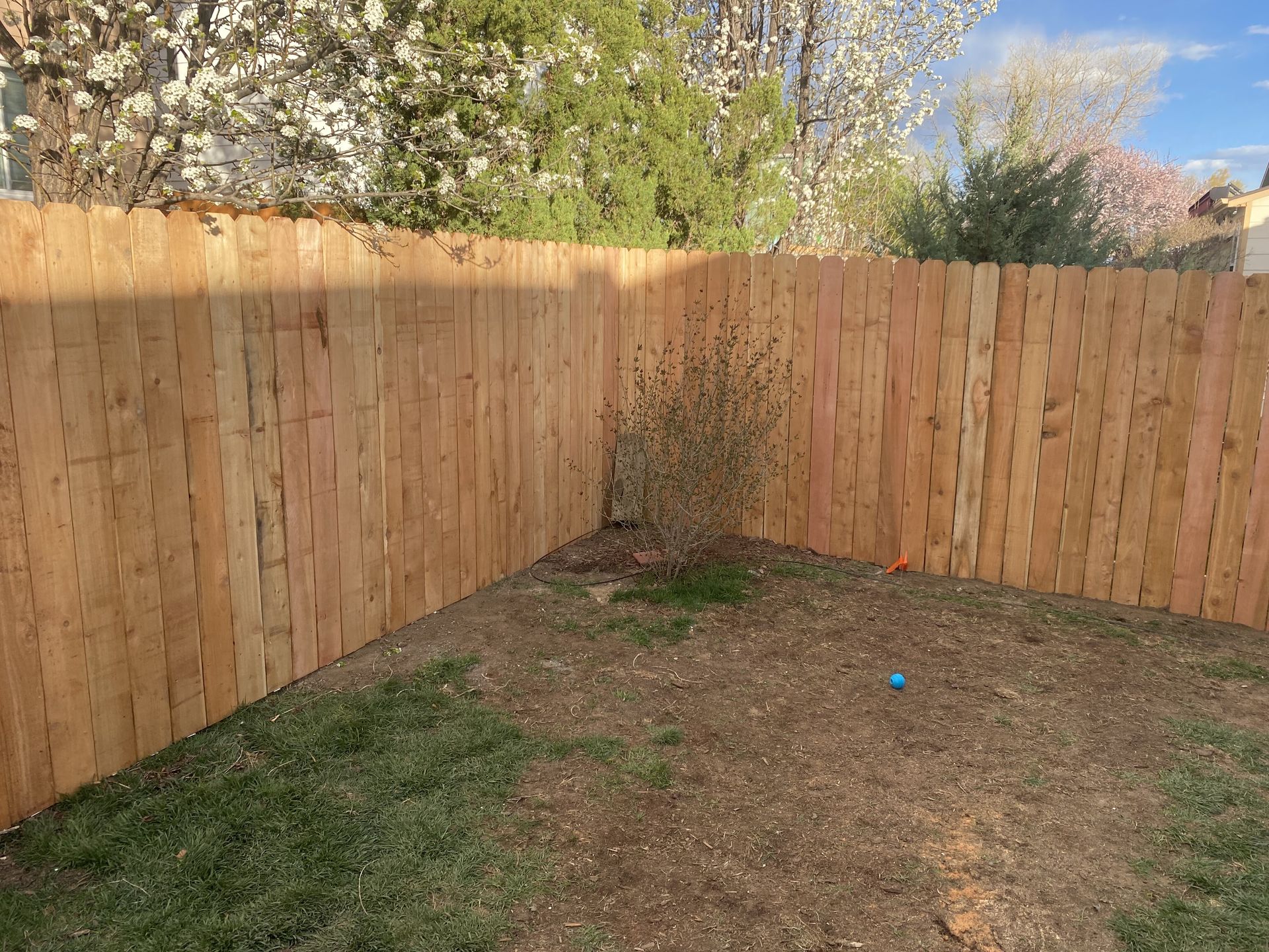 A wooden fence surrounds a lush green yard.