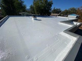 A white roof with trees in the background on a sunny day.