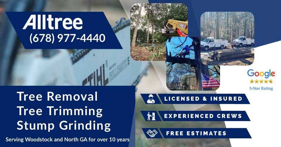An advertisement for alltree tree removal tree trimming stump grinding