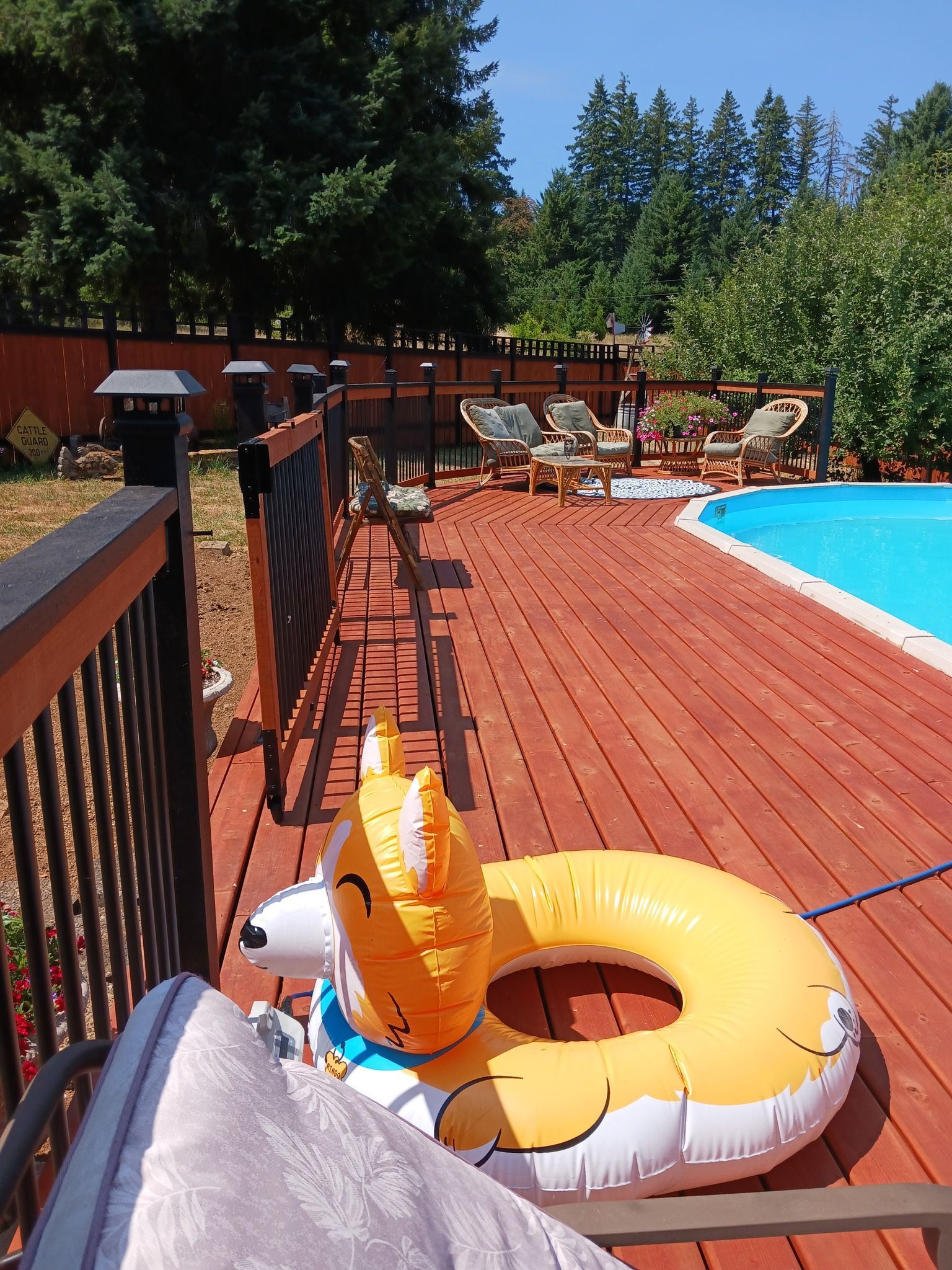 A yellow fox float sits on a deck next to a pool