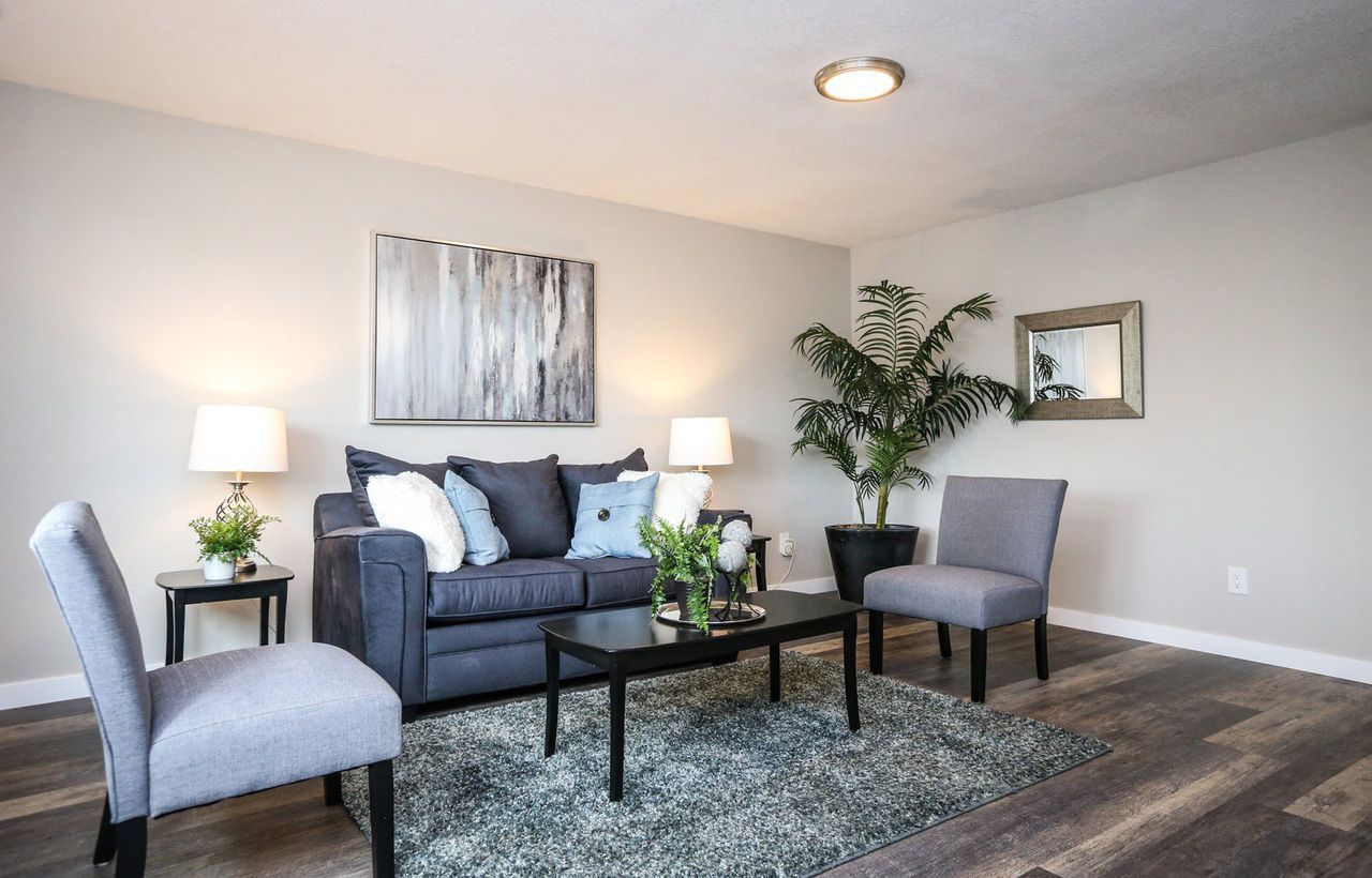 A living room with a couch , chairs , a coffee table and a plant.